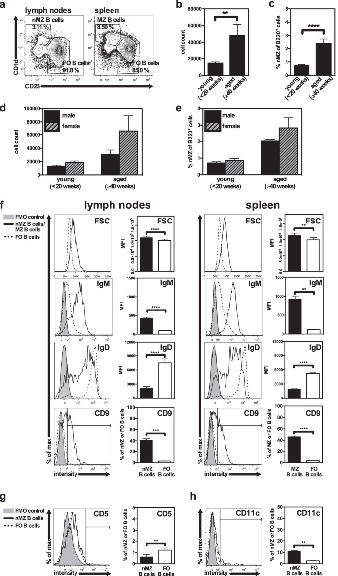 Nodal Marginal Zone B Cells In Mice A Novel Subset With Dormant Self Reactivity Scientific Reports