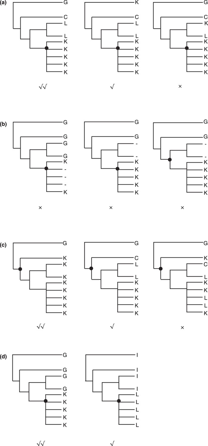 Molecular Classification Based On Apomorphic Amino Acids Arthropoda Hexapoda Integrative Taxonomy In The Era Of Phylogenomics Scientific Reports