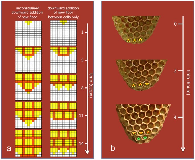 Golden honeycomb cells background. Vector illustration Stock Vector by  ©BoxerX 119899152