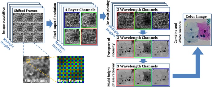 Demosaiced Pixel Super Resolution For Multiplexed Holographic Color Imaging Scientific Reports