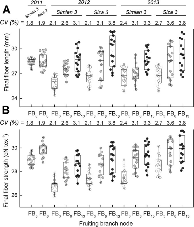 Soil Potassium Deficiency Reduces Cotton Fiber Strength By Accelerating And Shortening Fiber Development Scientific Reports