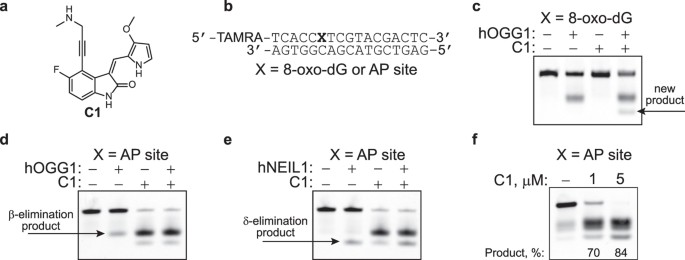 figure1