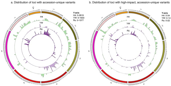 Genome Scale Dna Variant Analysis And Functional Validation Of A Snp Underlying Yellow Fruit Color In Wild Strawberry Scientific Reports Genome Scale Dna Variant Analysis And Functional Validation Of A Snp Underlying Yellow Fruit Color In Wild Strawberry Scientific Reports