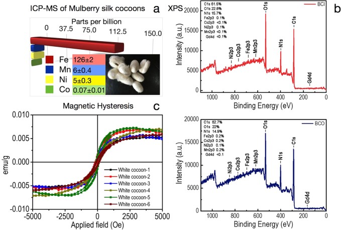 Figure 2: Magnetic properties of Mulberry silk cocoon membrane.