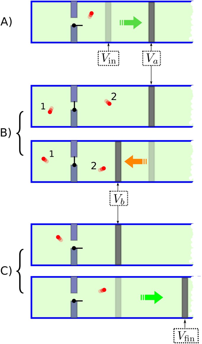 Optimal Processes For Probabilistic Work Extraction Beyond The Second Law Scientific Reports Optimal Processes For Probabilistic Work Extraction Beyond The Second Law Scientific Reports