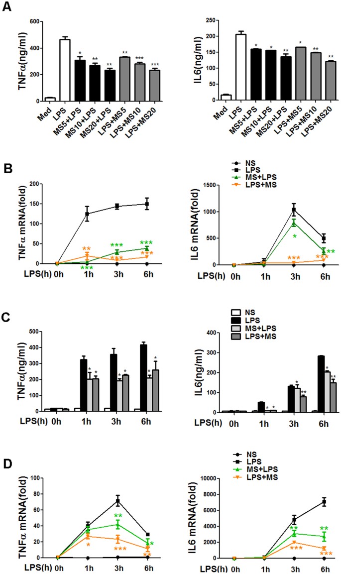 Methane limit LPS-induced NF-κB/MAPKs signal in macrophages and suppress  immune response in mice by enhancing PI3K/AKT/GSK-3β-mediated IL-10  expression | Scientific Reports