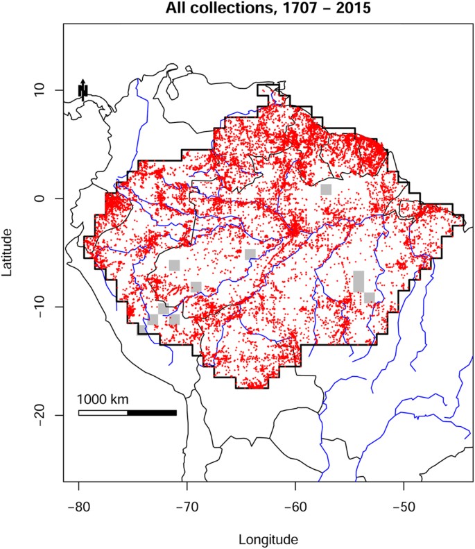 The discovery of the Amazonian tree flora with an updated checklist of all  known tree taxa | Scientific Reports