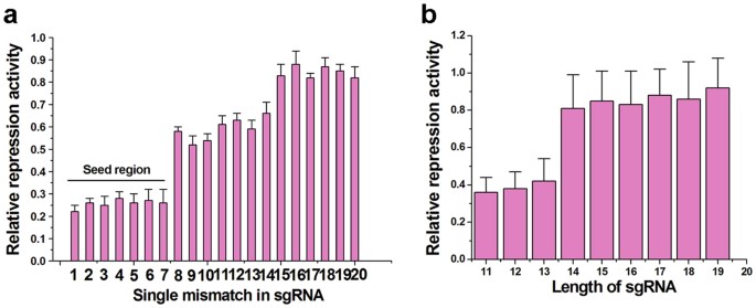 Targeting Cellular Mrnas Translation By Crispr Cas9 Scientific Reports