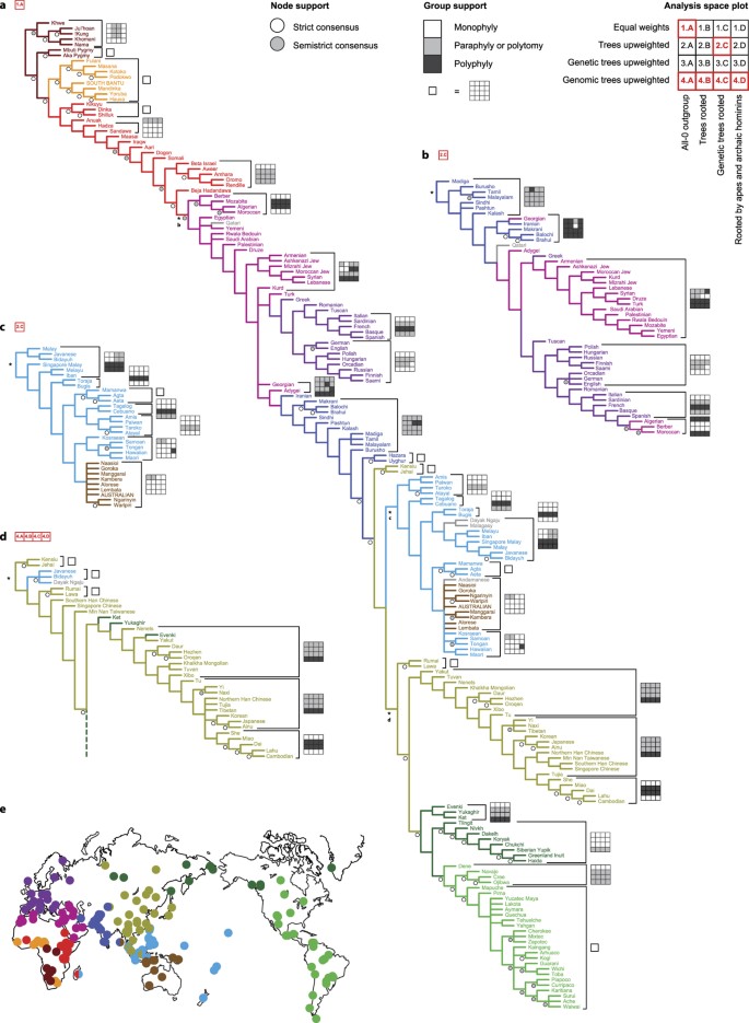 Theoretical evolution tree of deepwoken animal-based races based