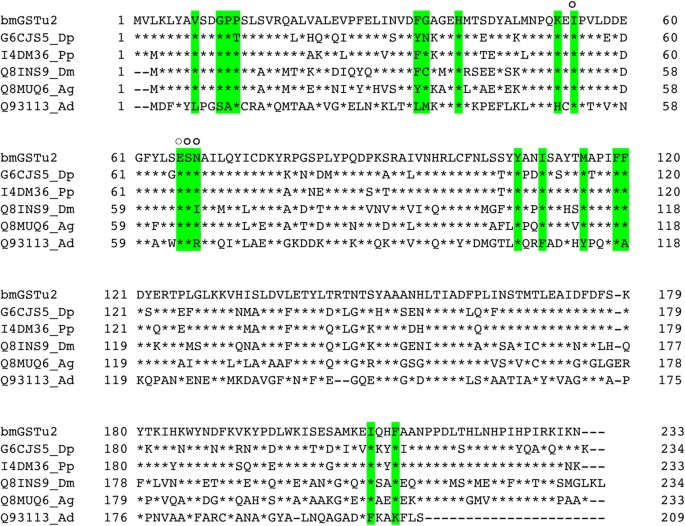 Identification Of A Diazinon Metabolizing Glutathione S Transferase In The Silkworm Bombyx Mori Scientific Reports