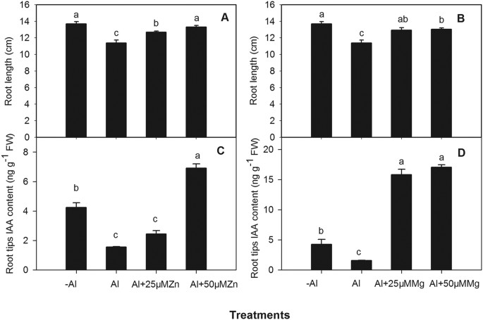 Aluminium Induced Reduction Of Plant Growth In Alfalfa Medicago Sativa Is Mediated By Interrupting Auxin Transport And Accumulation In Roots Scientific Reports