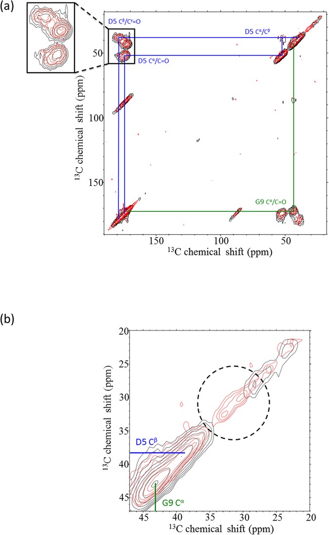 Study Of Binding Interaction Between Pif80 Protein Fragment And Aragonite Scientific Reports