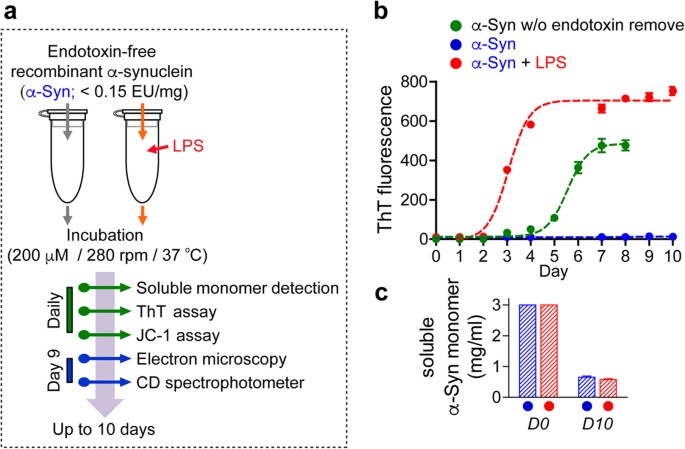 Exposure to bacterial endotoxin generates a distinct strain of α-synuclein  fibril | Scientific Reports