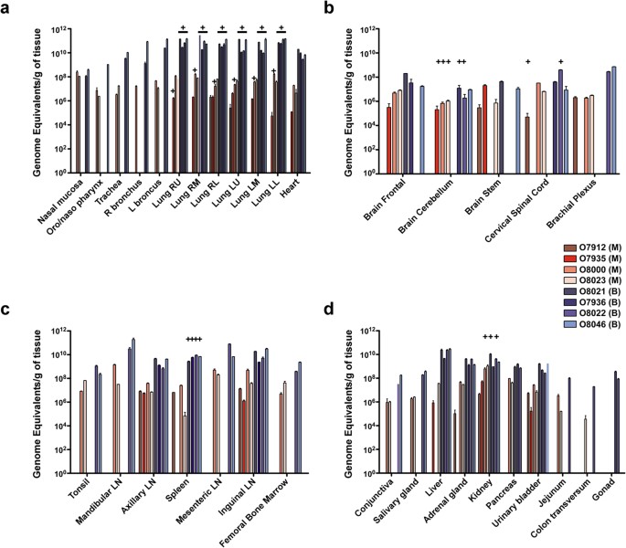 Pathogenic Differences Between Nipah Virus Bangladesh And Malaysia Strains In Primates Implications For Antibody Therapy Scientific Reports