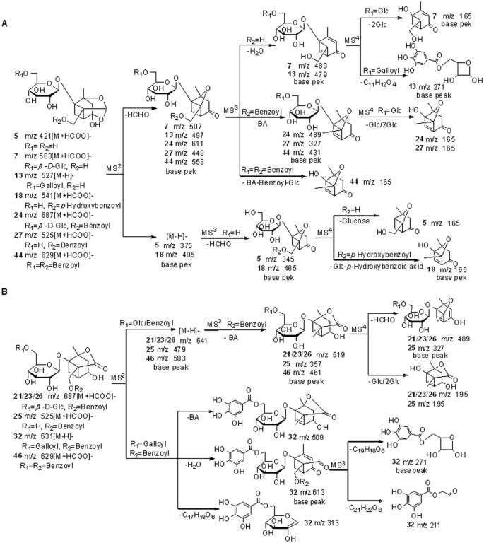 Rapid Discovery And Identification Of Anti Inflammatory Constituents From Traditional Chinese Medicine Formula By Activity Index Lc Ms And Nmr Scientific Reports