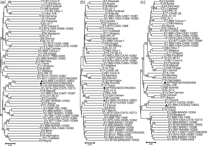 Isolation and Characterization of a Highly Mutated Chinese Isolate of  Enterovirus B84 from a Patient with Acute Flaccid Paralysis | Scientific  Reports