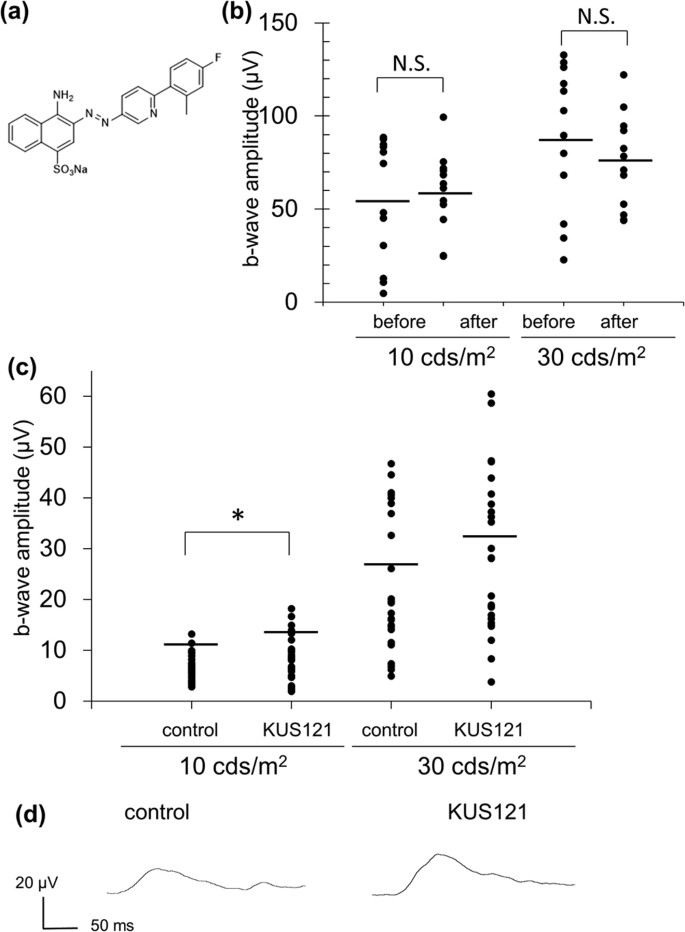 Neuoroprotective Efficacies By Kus121 A Vcp Modulator On Animal Models Of Retinal Degeneration Scientific Reports Neuoroprotective Efficacies By Kus121 A Vcp Modulator On Animal Models Of Retinal Degeneration Scientific Reports