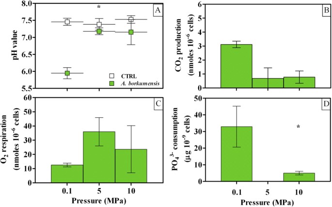 Figure 2: Cell metabolism in A. borkumensis SK2 cells grown under different HPs (0.1, 5 and 10 MPa).
