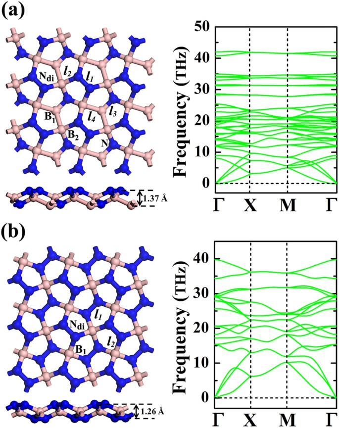 Penta B X N Y Sheet A Density Functional Theory Study Of Two Dimensional Material Scientific Reports