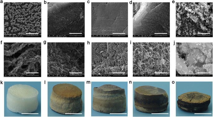 Cellulose As An Adhesion Agent For The Synthesis Of Lignin Aerogel With Strong Mechanical Performance Sound Absorption And Thermal Insulation Scientific Reports