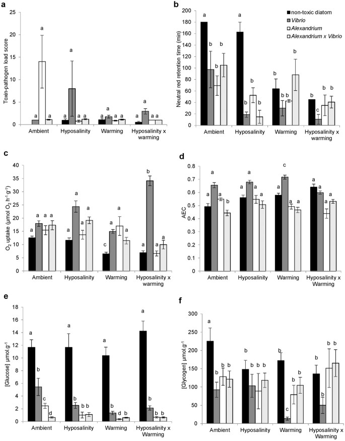 Pathogenic marine microbes influence the effects of climate change on a  commercially important tropical bivalve | Scientific Reports