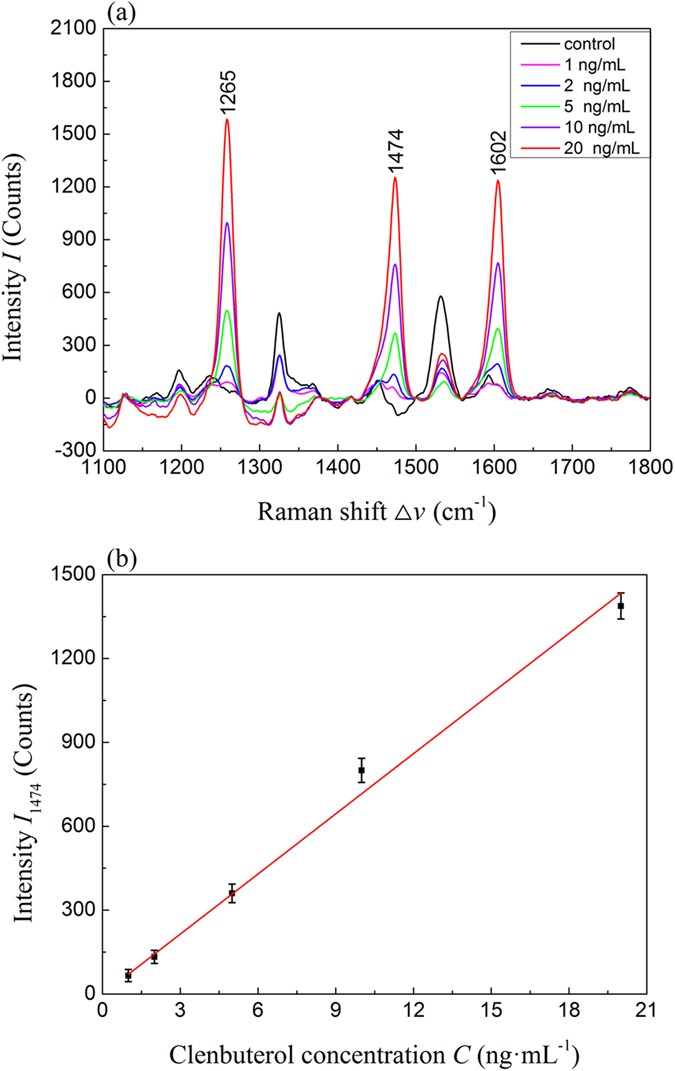 Highly Sensitive Detection Of Clenbuterol In Animal Urine Using Immunomagnetic Bead Treatment And Surface Enhanced Raman Spectroscopy Scientific Reports