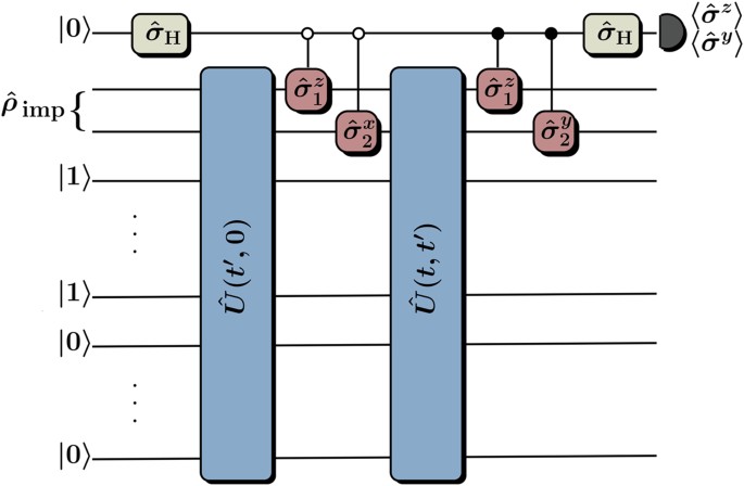 Non Linear Quantum Classical Scheme To Simulate Non Equilibrium Strongly Correlated Fermionic Many Body Dynamics Scientific Reports