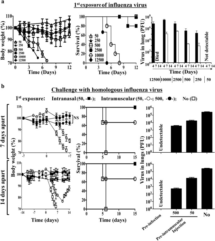 Sterilizing Immunity To Influenza Virus Infection Requires Local Antigen Specific T Cell Response In The Lungs Scientific Reports