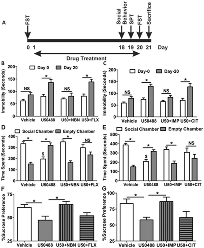Chronic Kappa opioid receptor activation modulates NR2B: Implication in  treatment resistant depression | Scientific Reports