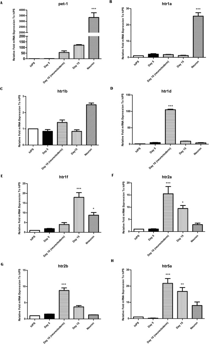 Figure 2: Expression patterns of serotonin receptors from hiPS cells to CNS neurons.