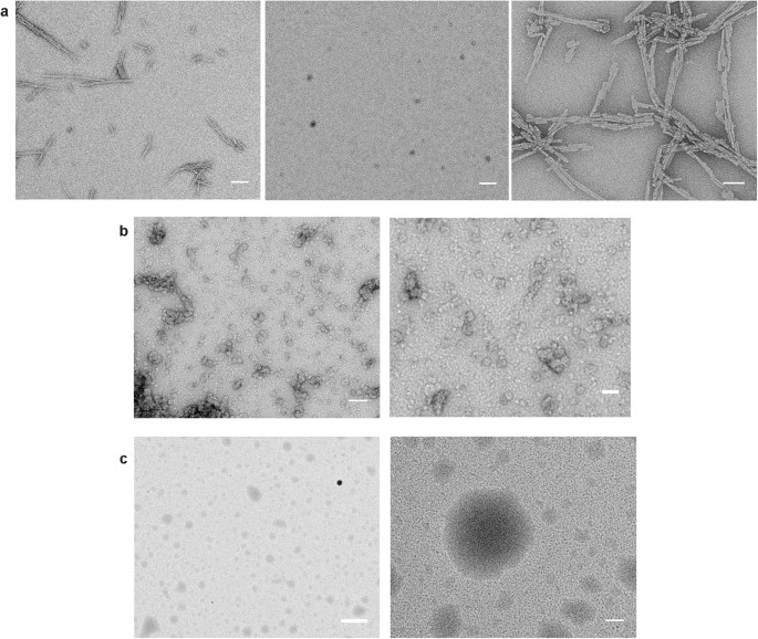 Figure 2: TEM images of aggregates.