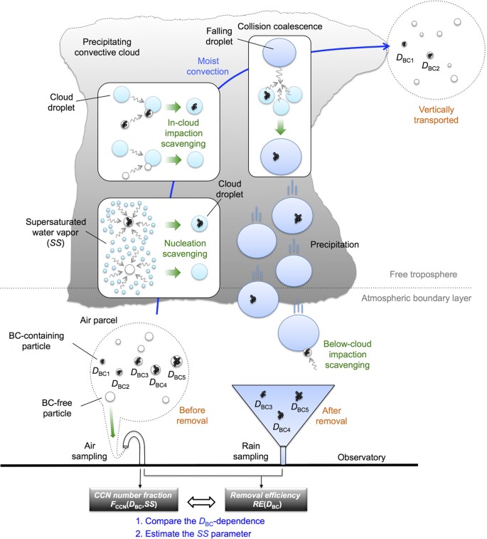 A key process controlling the wet removal of aerosols: new observational  evidence | Scientific Reports