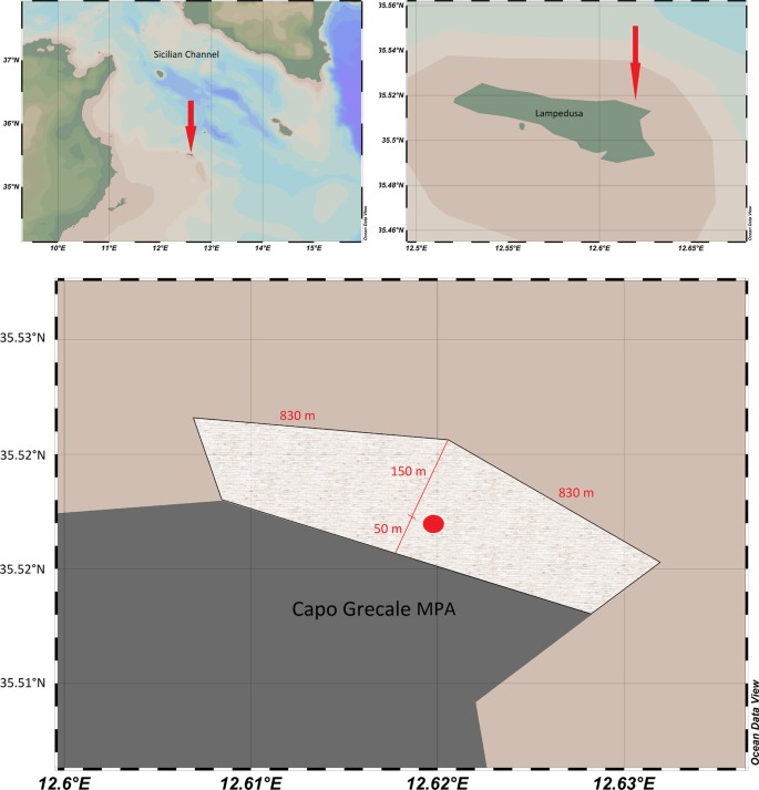 Temporal Patterns In The Soundscape Of The Shallow Waters Of A Mediterranean Marine Protected Area Scientific Reports