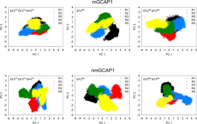 Allosteric Communication Pathways Routed By Ca 2 Mg 2 Exchange In Gcap1 Selectively Switch Target Regulation Modes Scientific Reports Allosteric Communication Pathways Routed By Ca 2 Mg 2 Exchange In Gcap1 Selectively Switch Target Regulation Modes Scientific Reports