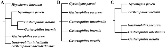 figure 20