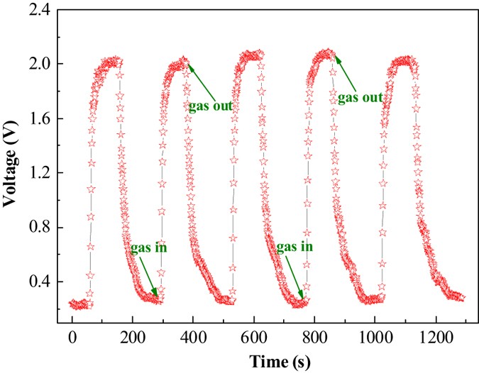 figure 11