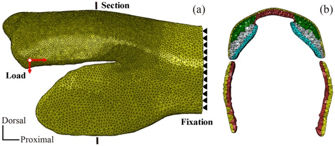 figure 9