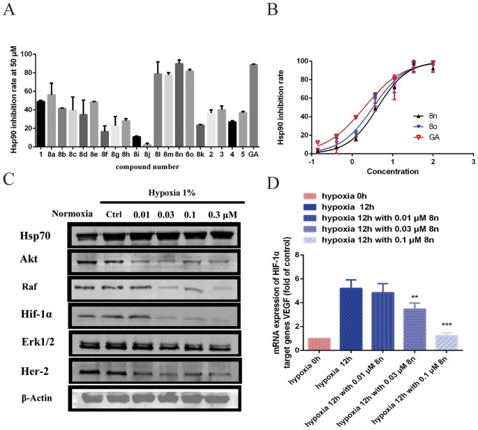 Novel Natural Product Like Caged Xanthones Bearing A Carbamate Moiety Exhibit Antitumor Potency And Anti Angiogenesis Activity In Vivo Scientific Reports Novel Natural Product Like Caged Xanthones Bearing A Carbamate Moiety Exhibit Antitumor Potency And Anti Angiogenesis Activity In Vivo Scientific Reports