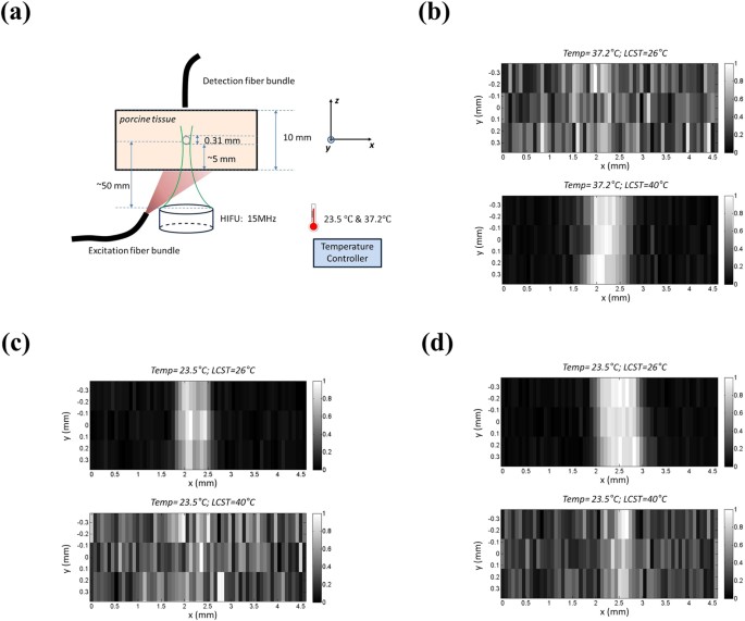 New Generation Icg Based Contrast Agents For Ultrasound Switchable Fluorescence Imaging Scientific Reports New Generation Icg Based Contrast Agents For Ultrasound Switchable Fluorescence Imaging Scientific Reports