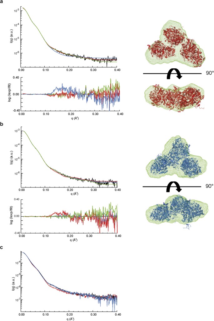 Redox cofactors insertion in prokaryotic molybdoenzymes occurs via a conserved folding mechanism | Scientific Reports redox-cofactors-insertion-in-prokaryotic-molybdoenzymes-occurs-via-a-conserved-folding-mechanism-scientific-reports