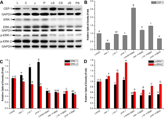 figure 16
