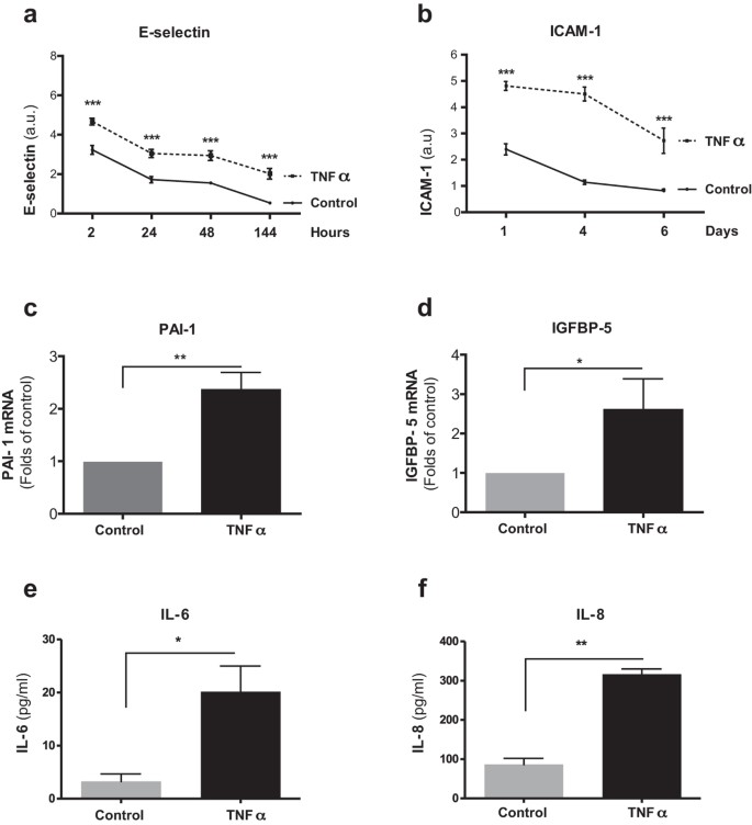 Figure 2: Prolonged TNFα-exposure promotes SASP in HUVECs.
