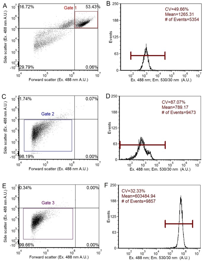 Shifts In The Fluorescence Lifetime Of Egfp During Bacterial Phagocytosis Measured By Phase Sensitive Flow Cytometry Scientific Reports