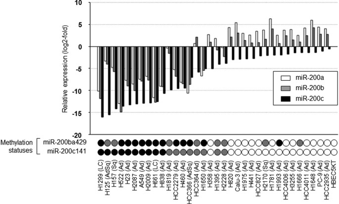 Figure 1: Expression and methylation statuses of miR-200s in 34 NSCLC cell lines and HBEC-5KT.