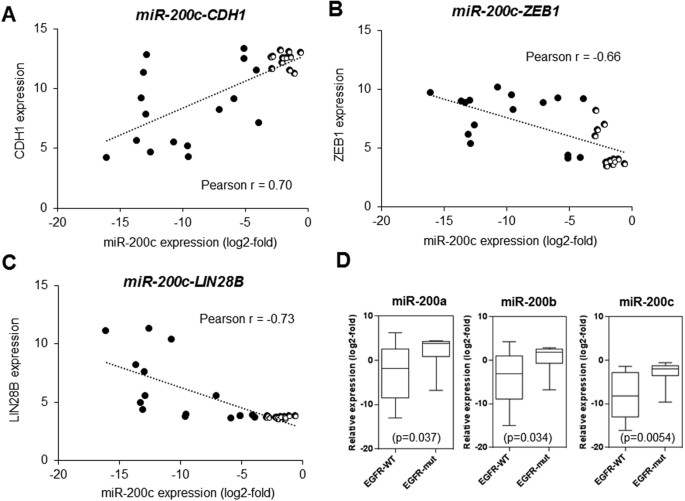 Figure 2: Functional analysis of miR-200s in NSCLC cells.