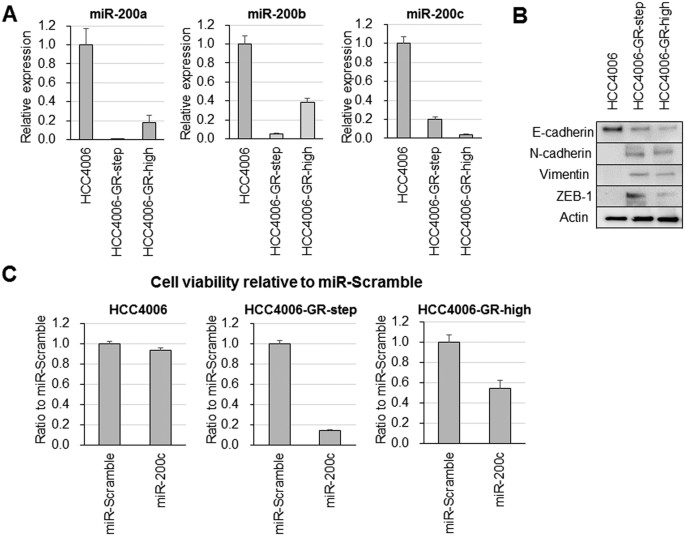 Figure 3: Antitumor effect of miR-200c introduction in parental and acquired EGFR-TKI resistance cells.