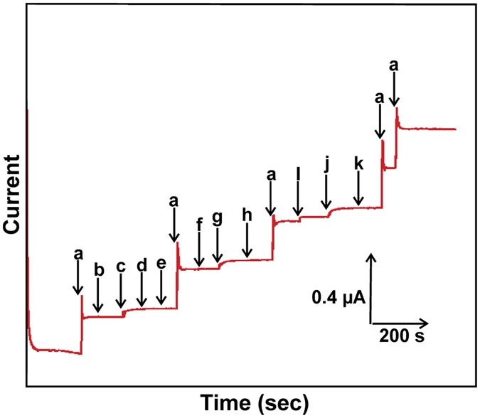A Novel Laccase Biosensor Based On Laccase Immobilized Graphene Cellulose Microfiber Composite Modified Screen Printed Carbon Electrode For Sensitive Determination Of Catechol Scientific Reports