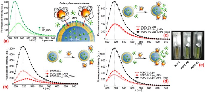 Antimicrobial Nanoplexes Meet Model Bacterial Membranes The Key Role Of Cardiolipin Scientific Reports
