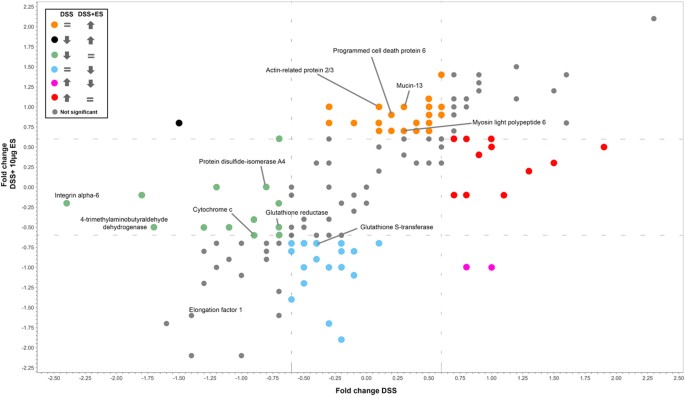 Figure 2: Scatter plot representing the log2 fold-changes of the identified proteins in the lamina propria of mice with DSS-induced colitis before and after treatment with Ancylostoma caninum excretory/secretory proteins.
