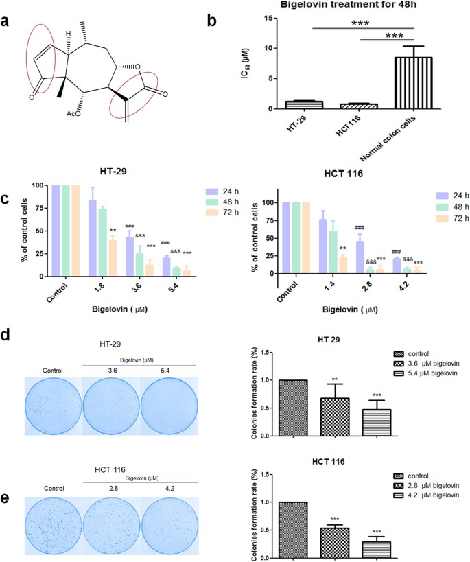 Bigelovin triggered apoptosis in colorectal cancer in vitro and in vivo via  upregulating death receptor 5 and reactive oxidative species | Scientific  Reports